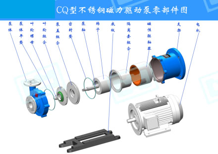 �㲿��ʾ��D